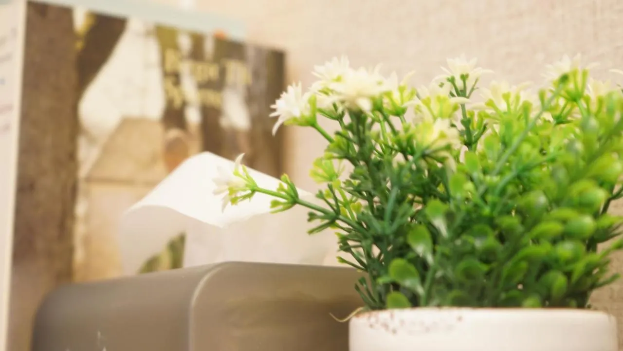 Homy Inn North Point Hong Kong Guest house